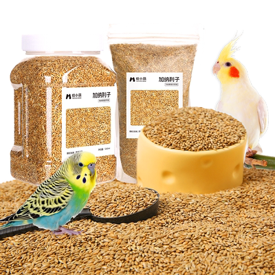 鹦鹉鸟粮饲料加纳利子带壳黄谷子