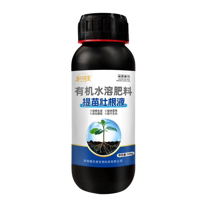 仙花四季提苗壮根液移栽定植专用