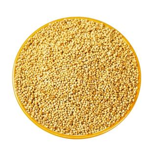 黄谷子优质鹦鹉粮/黄谷子/牡丹玄凤虎皮粮/鸟粮鸟食5斤