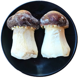 新鲜姬松茸新菌冰冻赤松茸云南丽江土特产蘑菇 口感脆嫩鲜香十足