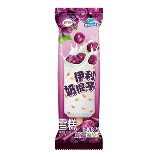 伊利牧场奶提子香浓牛奶味蜜渍葡萄干雪糕冰淇淋冰棒冰淇淋5支