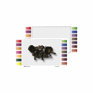 中医药材饮片标本标准量化卡色卡拍照测量板刻度尺颜色对比对照表