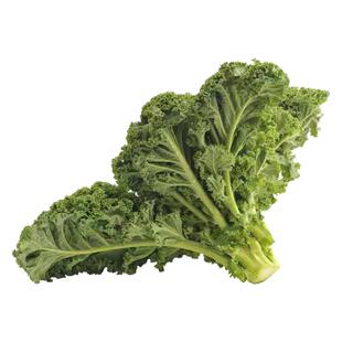 羽衣甘蓝苗秧苗菜园庭院阳台盆栽观赏食用紫绿粉雨衣带土球四季种