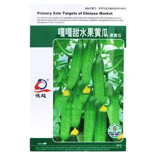 嘎嘎甜水果黄瓜种子早熟旱黄瓜节节瓜籽青瓜大田高产春秋播耐老化