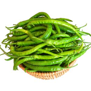 湖南特产正宗农家薄皮辣椒青尖椒