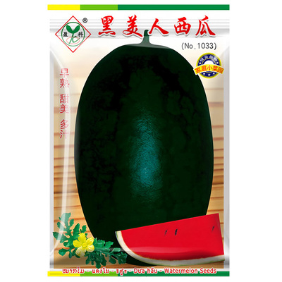 黑美人西瓜种子买2送1