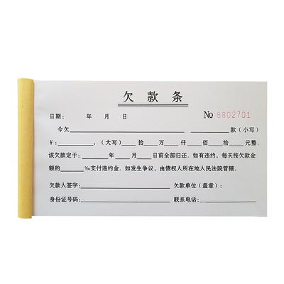 欠条账单借支二联收款凭证