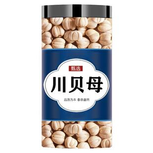 浙江贝母中药材川贝粉正品非特级100g浙贝母中药官方旗舰店大贝粒