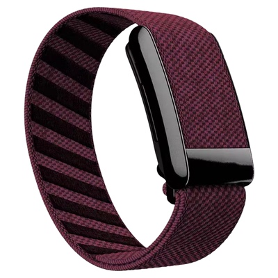 适用于Whoop尼龙手环表带