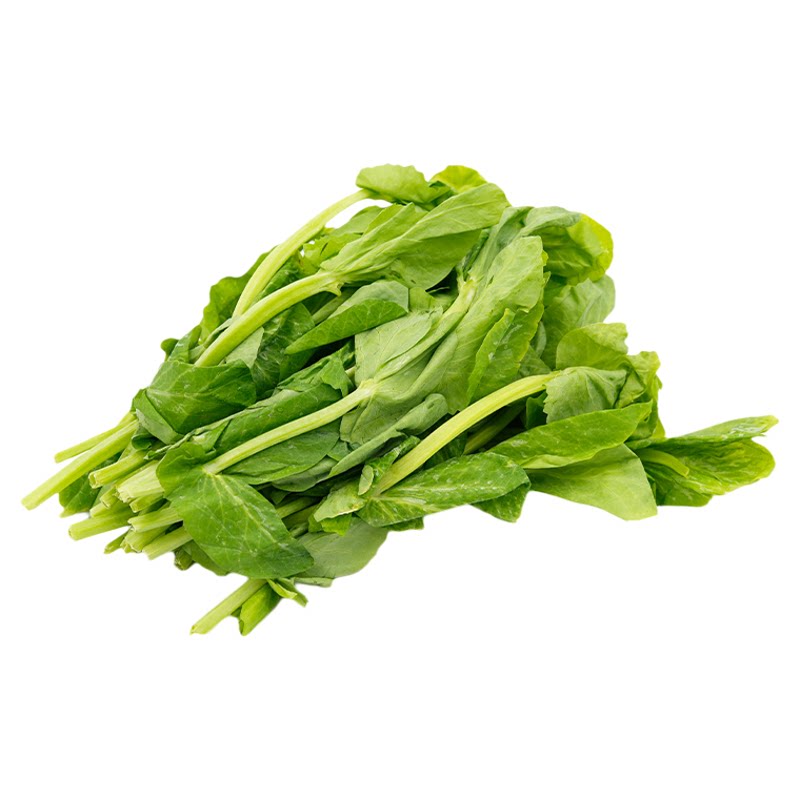 高山嫩豆苗150g/袋 新鲜蔬菜大顺无须嫩豌豆苗清炒酒店料理大豆苗