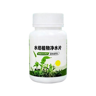 水培植物净水片鲜花花卉保鲜剂不臭水碗莲专用杀菌消毒片净化水质