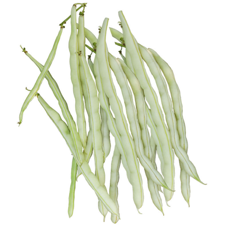 无架豆种子豆角四季豆种籽苗秧豇豆蔬菜孑菜豆地豆老品种扁豆大全