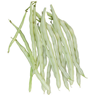 无架豆种子豆角四季豆种籽苗秧豇豆蔬菜孑菜豆地豆不搭架扁豆大全