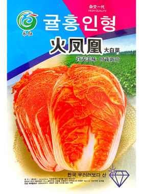 红白菜种子新品种彩色仔籽儿胶州