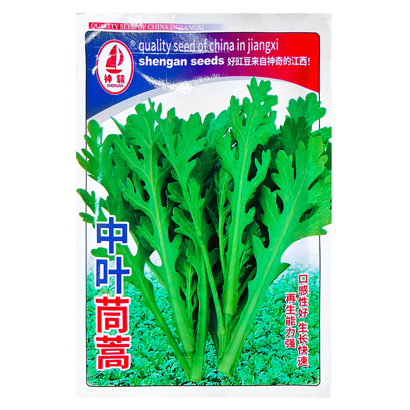 正宗茼蒿种子春夏秋播种蔬菜种子蔬菜种子/种苗