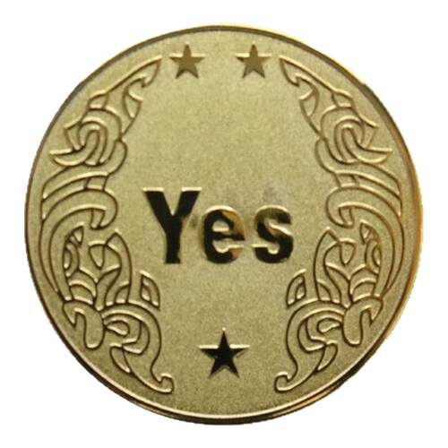 YES/NO决策币把玩幸运许愿币道具玩具创意礼品纪念币小众高级礼物