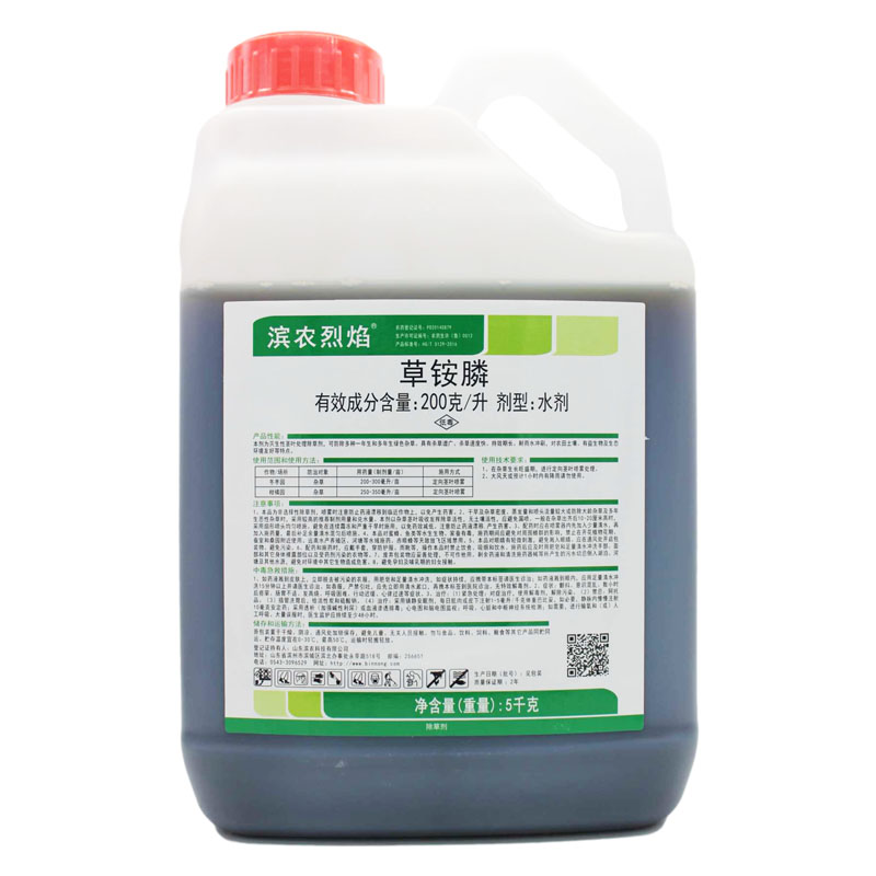 滨农科技滨农烈焰牛筋草