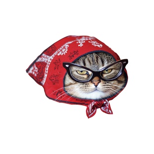 RETLPER反光车贴 原创 试图卧底的头巾猫猫 可爱宠物头像防水贴纸