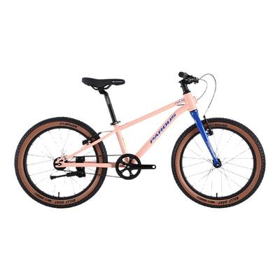 PARDUS瑞豹儿童青少年山地车学生