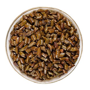 决明子诀明子草决明正品泡水炒决明子枕头枕芯散装天然无硫熏