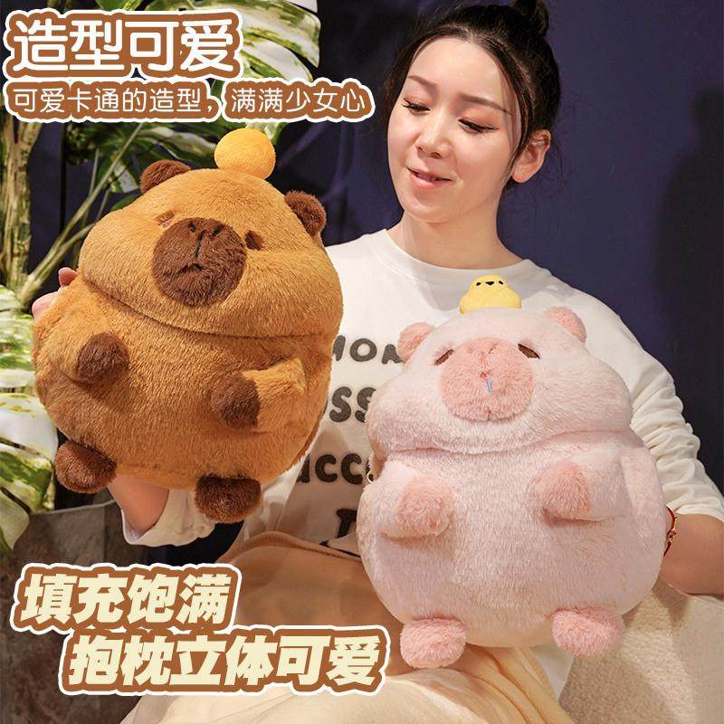 可爱水豚车载毛毯抱枕被子两用办公室学生午睡枕头毯子少女心靠枕