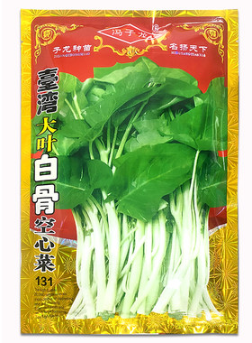 白骨泰国水生四季种植柳叶空心菜
