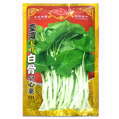 白骨泰国水生四季种植柳叶空心菜