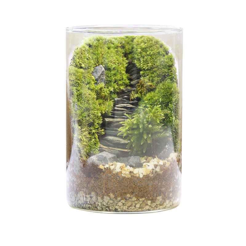 苔藓微景观绿植DIY生态瓶解压