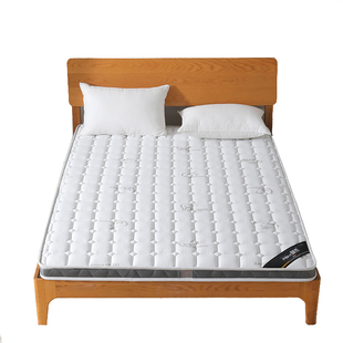 天然椰棕床垫棕榈垫偏硬护脊儿童棕垫黄麻定制任意尺寸折叠榻榻米