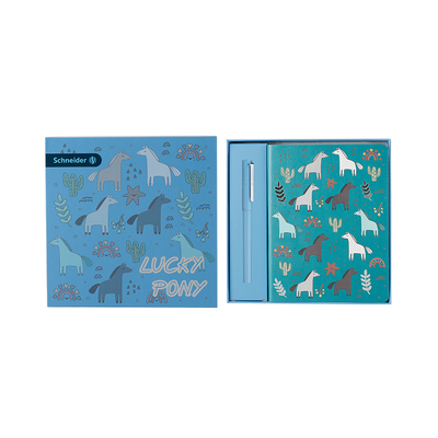 顺丰包邮德国施耐德学生钢笔礼盒