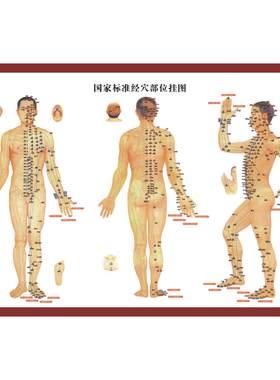 国家标准经穴部位穴位图