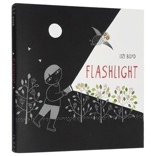 Lizi Boyd :Flashlight 手电筒的光进口原版英文书籍