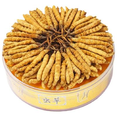 云麓新鲜冬虫夏草礼盒装