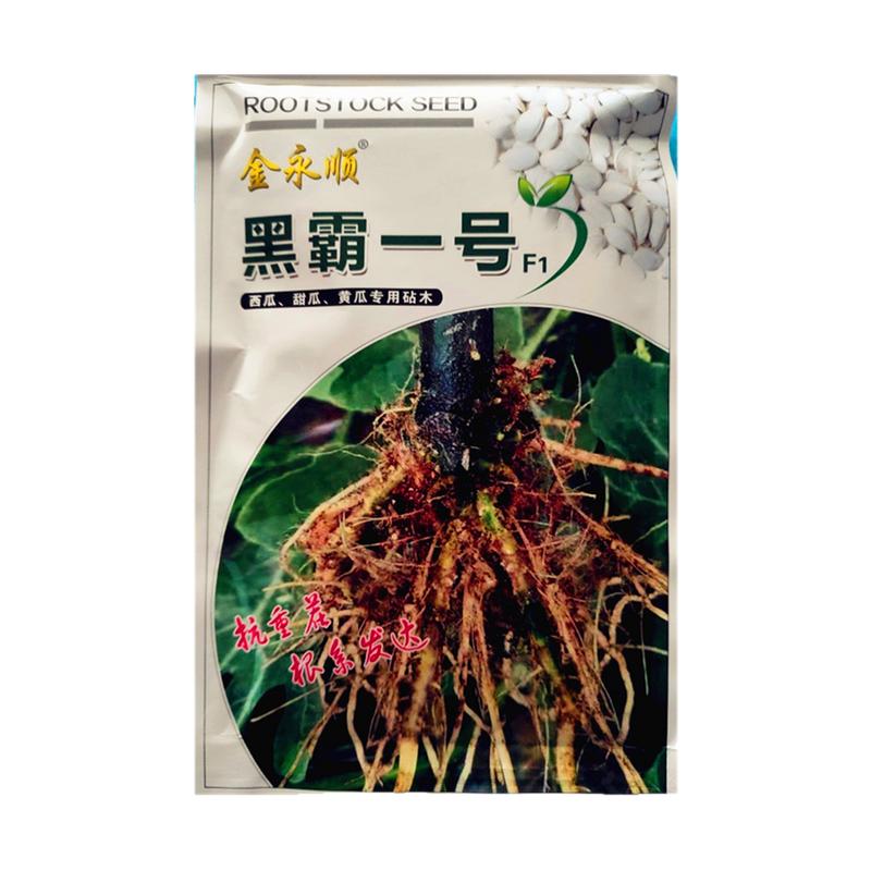 南瓜子嫁接专用黑霸一号白籽黑茎根沾砧木种子西瓜甜瓜黄瓜嫁接用