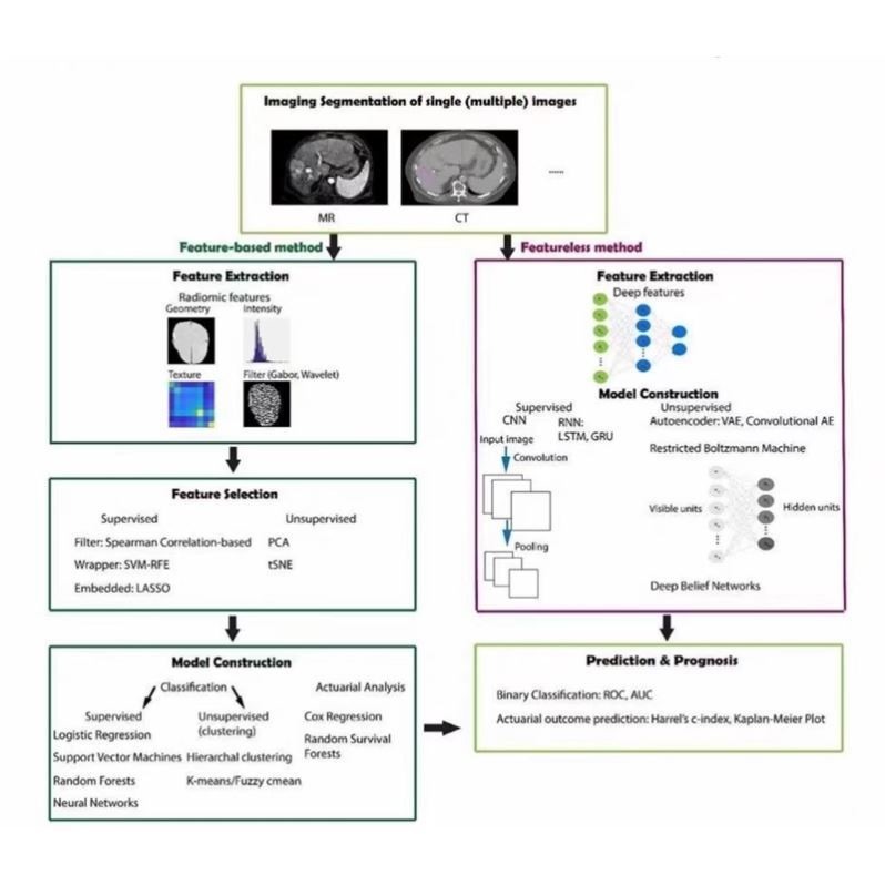 神经网络提取特征 影像组学特征 临床多组学数据联合预测数据分析