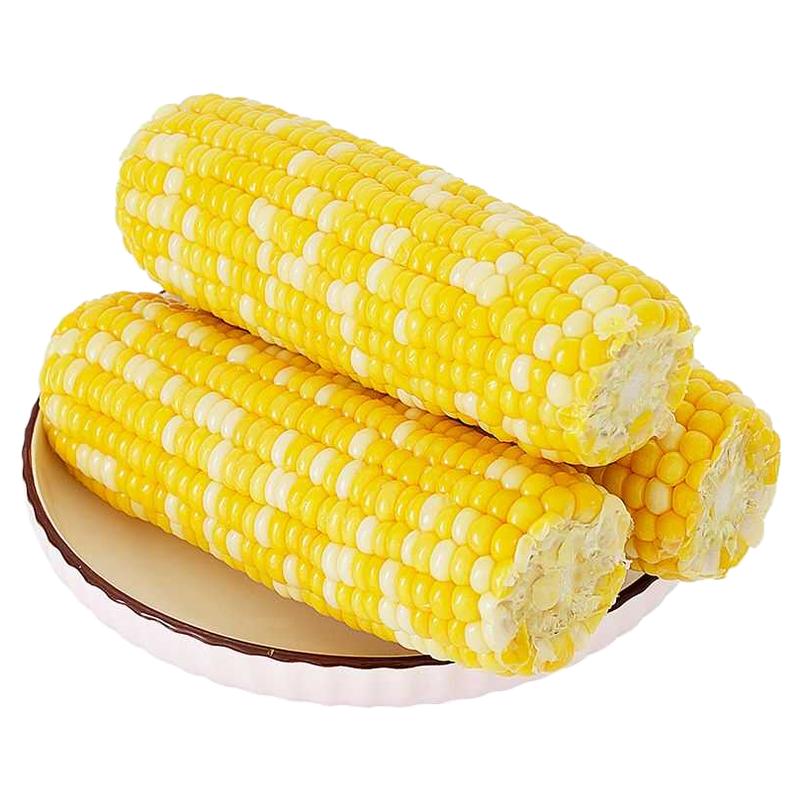 开袋即食整箱10根甜玉米棒0添加