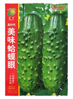 蛤蟆眼黄瓜种子老品种黄瓜种籽