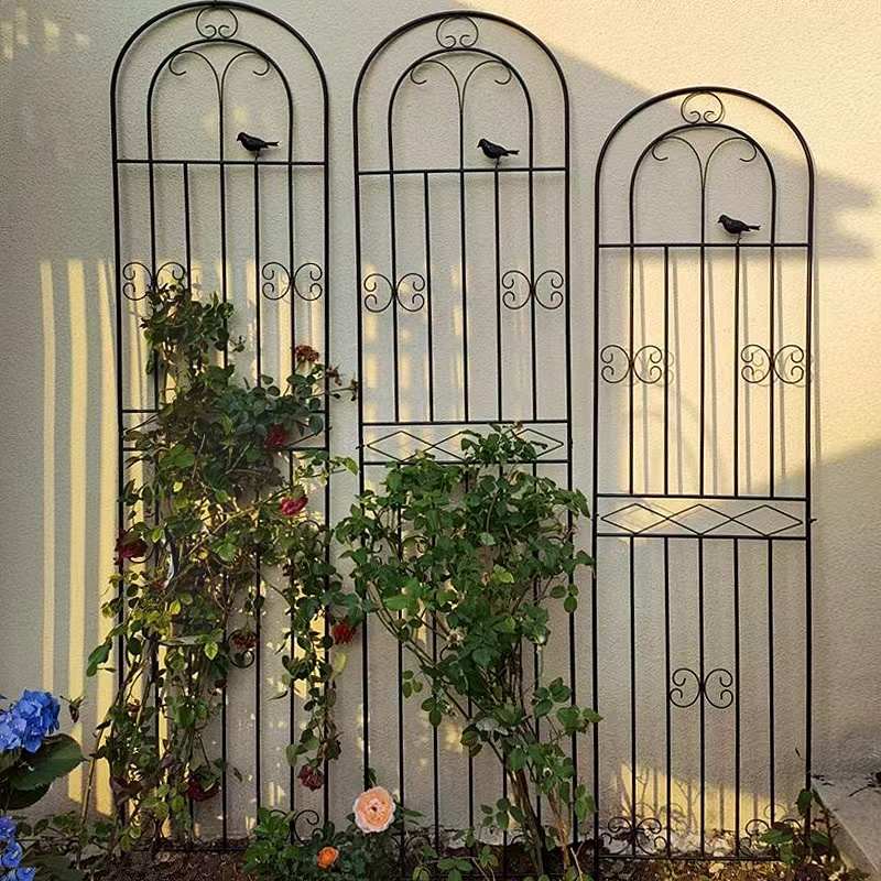 铁线莲爬藤架蔷薇月季种植户外栅栏庭院支撑杆花架铁艺植物攀爬架