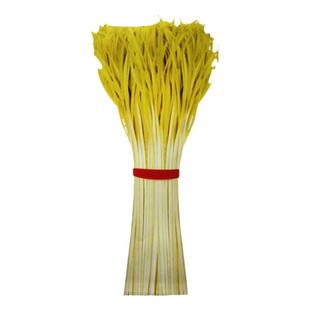 韭黄种子黄韭菜籽春秋冬季金杆黄韭黄种籽蔬菜种孑四季韭菜籽盆栽