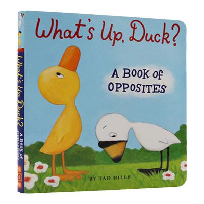 进口英文原版绘本 duck and goose What's Up, Duck 发生什么事了 小鸭子 小黄鸭与小白鹅系列