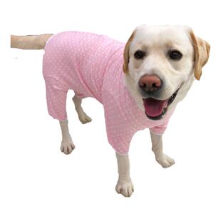 大型犬金毛狗狗衣服全包肚子四脚衣母狗护肚粉色纯棉断奶绝育服