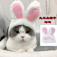 Кролик ушной шляпу