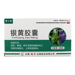 健之佳银黄胶囊40粒清热解毒急慢性咽喉炎扁桃体发炎上呼吸道感染