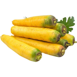 新疆特产抓饭黄萝卜冰糖心水果胡萝卜农家非有机新鲜蔬菜云南山西