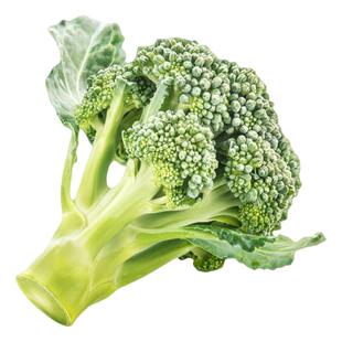 德西科西兰花种子高产鲜嫩浓郁抗性强传家宝室内阳台四季盆栽蔬菜