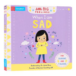 当我难过的时候 英文原版绘本 Little Big Feelings When I am Sad 幼儿情商启蒙社交培养情绪表达纸板书机关操作书亲子互动