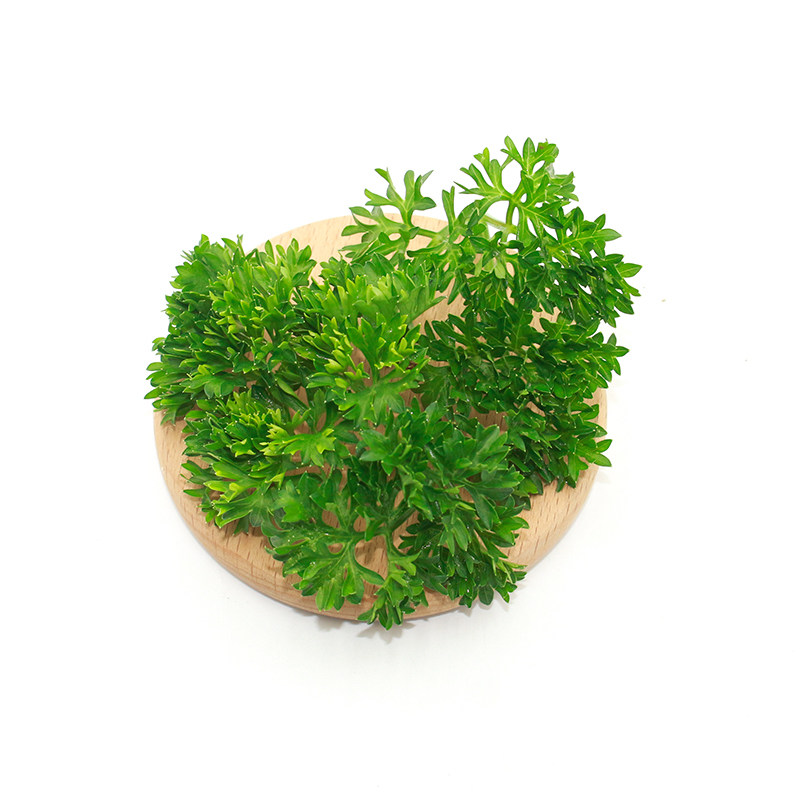 新鲜荷兰芹叶子迷迭香头迷迭香莳萝草薄荷头蛋糕装饰西餐摆盘烘焙