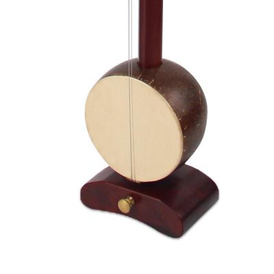 板胡乐器专业演奏级送全套配件