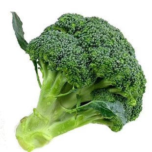 现摘新鲜小朵迷你西兰花农家自种西蓝花花椰菜原生花菜时令蔬菜