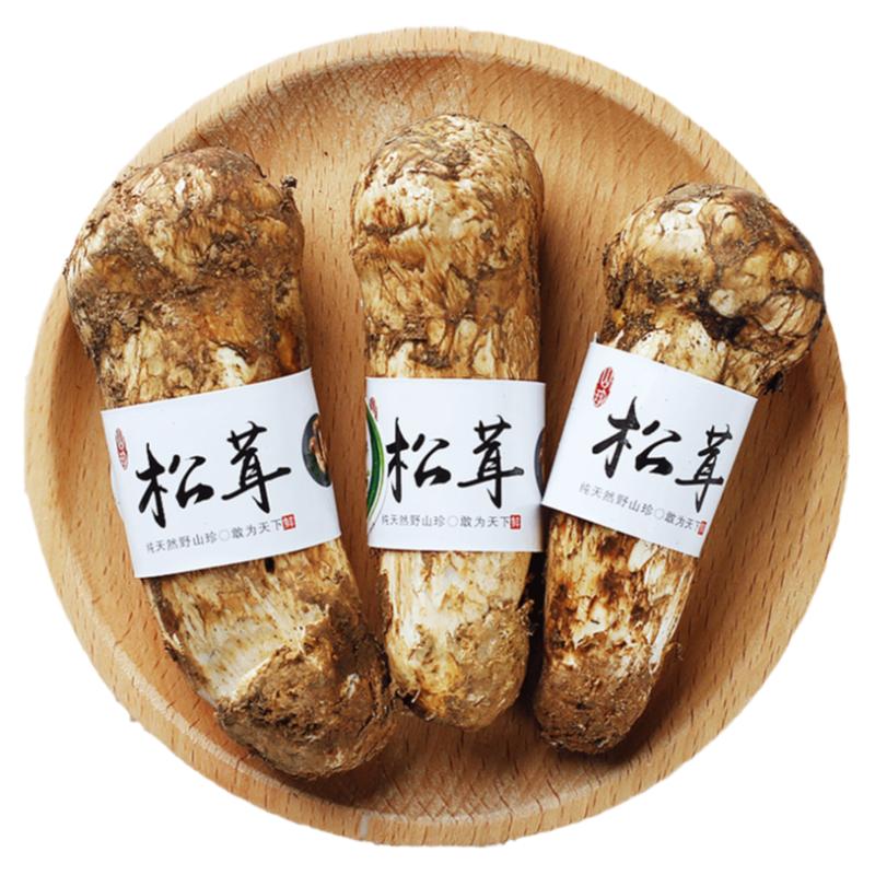 【顺丰空运】野生新鲜松茸次日达